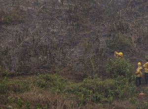 defesa-civil-realiza-missao-nos-estados-da-amazonia-legal-e-pantanal